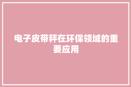电子皮带秤在环保领域的重要应用