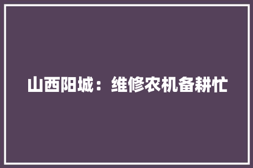 山西阳城：维修农机备耕忙