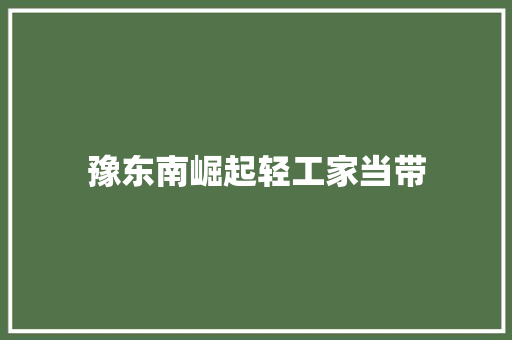 豫东南崛起轻工家当带