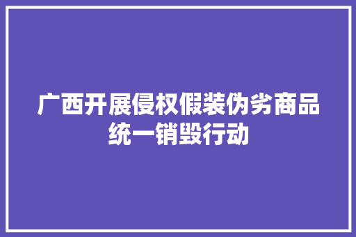 广西开展侵权假装伪劣商品统一销毁行动