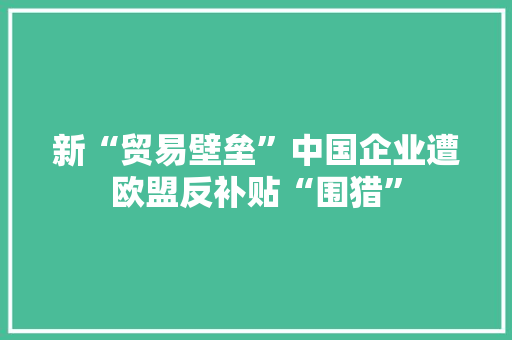 新“贸易壁垒”中国企业遭欧盟反补贴“围猎”