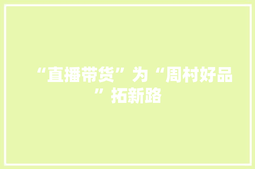 “直播带货”为“周村好品”拓新路