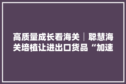 高质量成长看海关│聪慧海关培植让进出口货品“加速跑” 高质量成长看海关│聪慧海关培植让进出口货品“加速跑” 智能家居