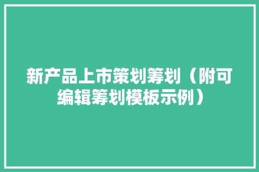 新产品上市策划筹划（附可编辑筹划模板示例）