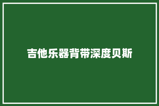 吉他乐器背带深度贝斯