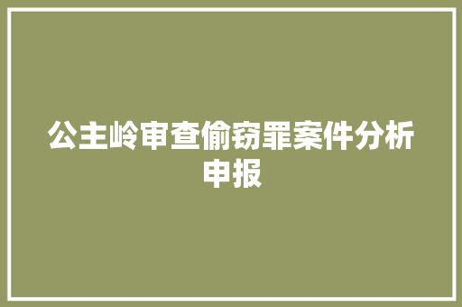公主岭审查偷窃罪案件分析申报