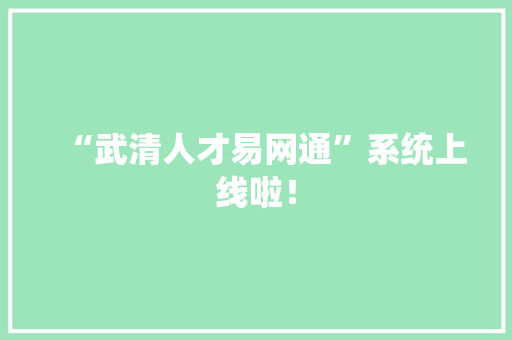 “武清人才易网通”系统上线啦！