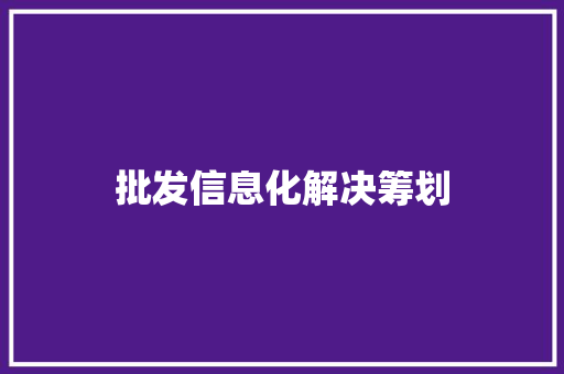 批发信息化解决筹划