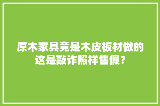 原木家具竟是木皮板材做的这是敲诈照样售假？