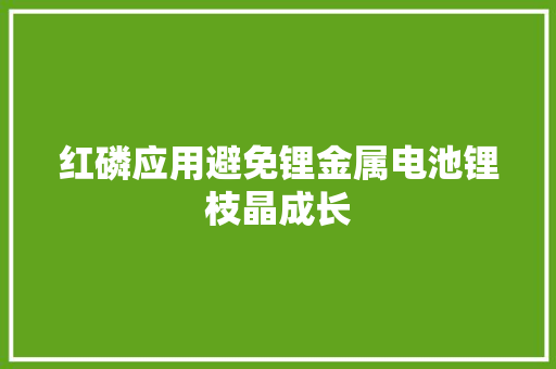 红磷应用避免锂金属电池锂枝晶成长