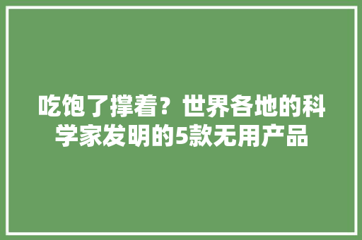 吃饱了撑着？世界各地的科学家发明的5款无用产品