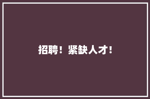 招聘！紧缺人才！