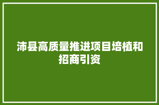 沛县高质量推进项目培植和招商引资