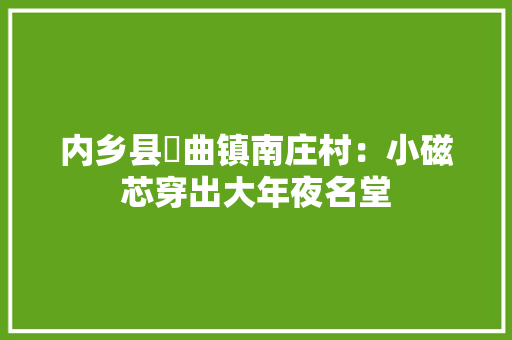 内乡县岞曲镇南庄村：小磁芯穿出大年夜名堂