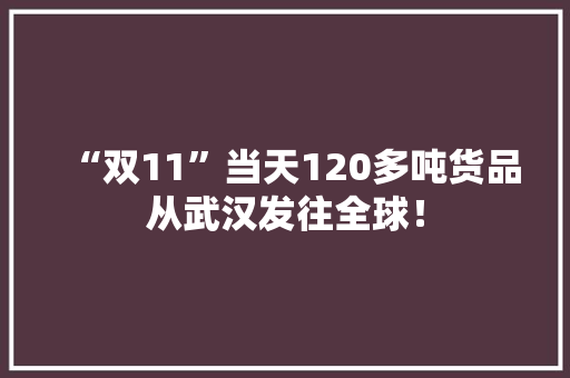 “双11”当天120多吨货品从武汉发往全球！