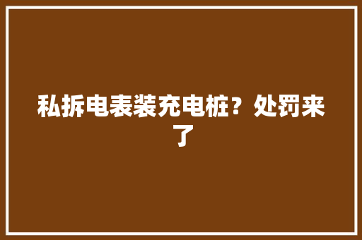 私拆电表装充电桩？处罚来了