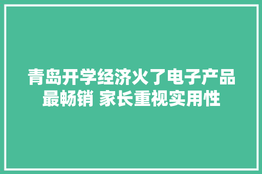 青岛开学经济火了电子产品最畅销 家长重视实用性