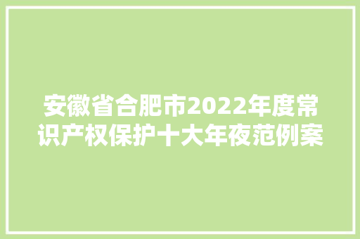 安徽省合肥市2022年度常识产权保护十大年夜范例案例