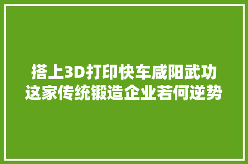 搭上3D打印快车咸阳武功这家传统锻造企业若何逆势“吸金”？