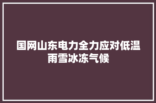 国网山东电力全力应对低温雨雪冰冻气候