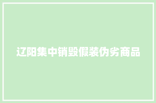 辽阳集中销毁假装伪劣商品