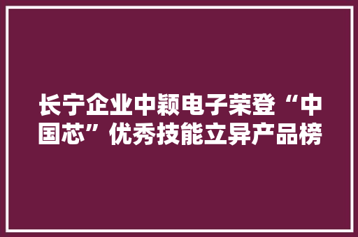 长宁企业中颖电子荣登“中国芯”优秀技能立异产品榜单