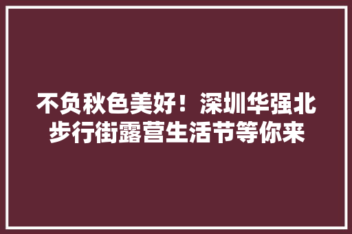 不负秋色美好！深圳华强北步行街露营生活节等你来 不负秋色美好！深圳华强北步行街露营生活节等你来 智能家居