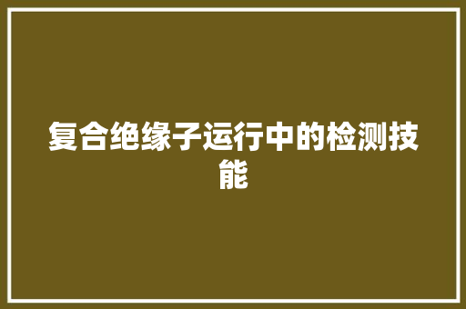 复合绝缘子运行中的检测技能