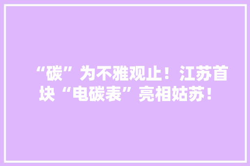 “碳”为不雅观止！江苏首块“电碳表”亮相姑苏！