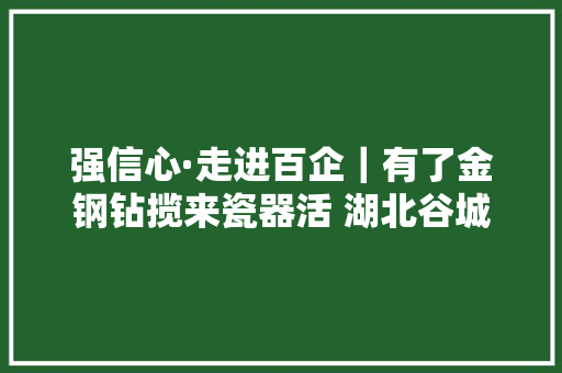 强信心·走进百企｜有了金钢钻揽来瓷器活 湖北谷城的工业强县梦