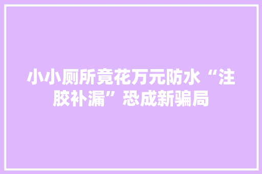 小小厕所竟花万元防水“注胶补漏”恐成新骗局 小小厕所竟花万元防水“注胶补漏”恐成新骗局 智能科技