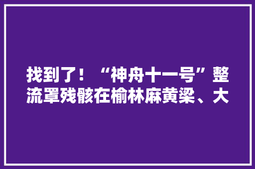 找到了！“神舟十一号”整流罩残骸在榆林麻黄梁、大年夜河塔顺利收受接收