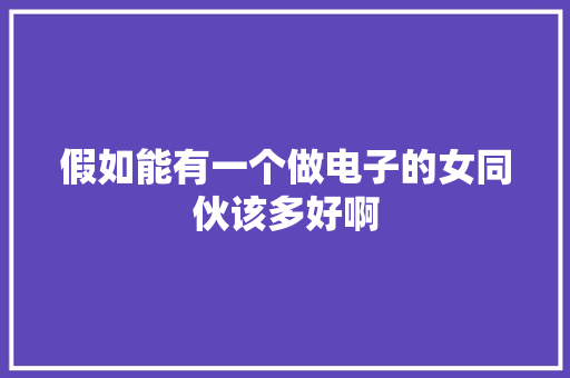 假如能有一个做电子的女同伙该多好啊