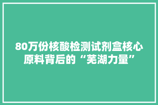 80万份核酸检测试剂盒核心原料背后的“芜湖力量”