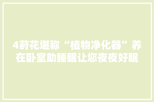 4莳花堪称“植物净化器”养在卧室助睡眠让您夜夜好眠