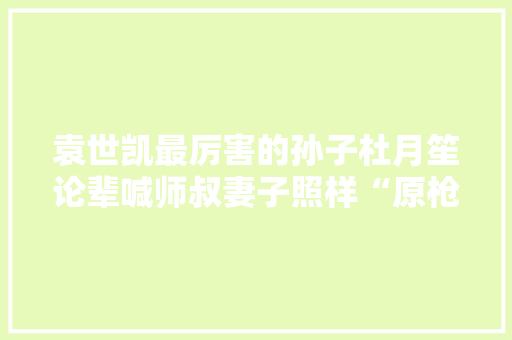 袁世凯最厉害的孙子杜月笙论辈喊师叔妻子照样“原枪弹之母”,袁家骝简介。