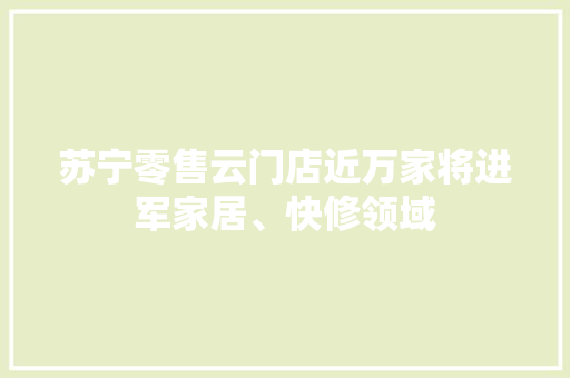 苏宁零售云门店近万家将进军家居、快修领域