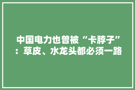 中国电力也曾被“卡脖子”：草皮、水龙头都必须一路买