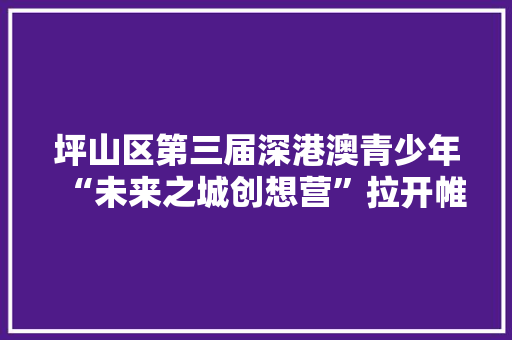 坪山区第三届深港澳青少年“未来之城创想营”拉开帷幕