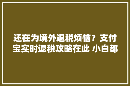 还在为境外退税烦恼？支付宝实时退税攻略在此 小白都能看的懂,退税需要满足什么条件。