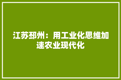 江苏邳州：用工业化思维加速农业现代化