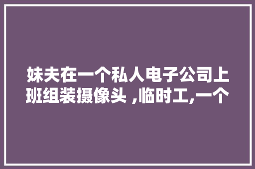 妹夫在一个私人电子公司上班组装摄像头 ,临时工,一个月4000块钱