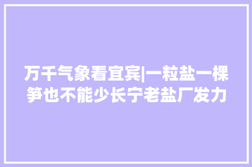 万千气象看宜宾|一粒盐一棵笋也不能少长宁老盐厂发力新赛道
