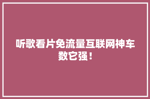 听歌看片免流量互联网神车数它强！