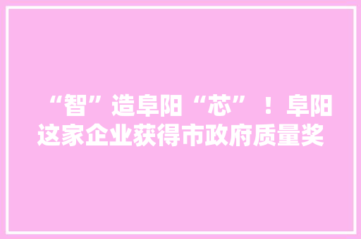 “智”造阜阳“芯” ！阜阳这家企业获得市政府质量奖！