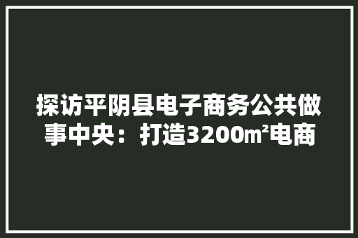 探访平阴县电子商务公共做事中央：打造3200㎡电商大年夜脑中枢