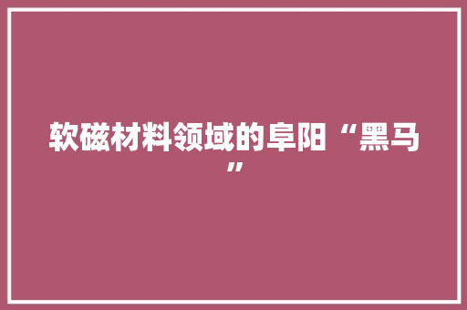 软磁材料领域的阜阳“黑马”