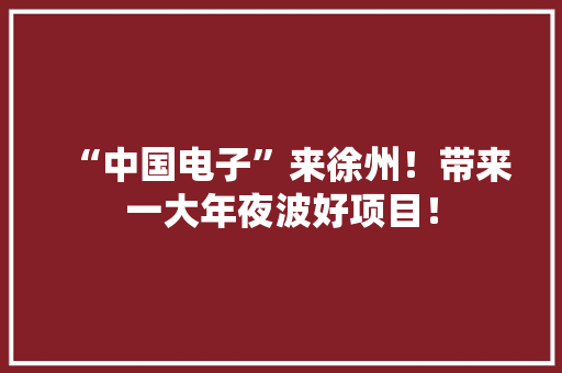 “中国电子”来徐州！带来一大年夜波好项目！