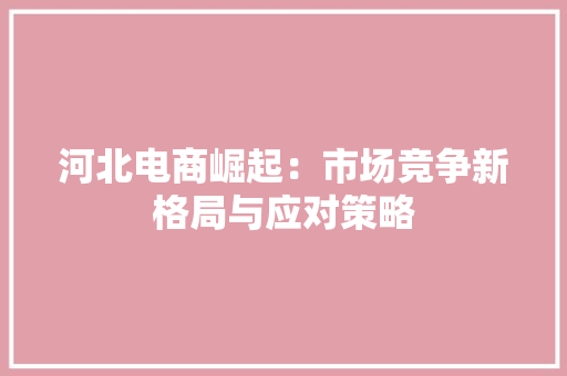 河北电商崛起：市场竞争新格局与应对策略