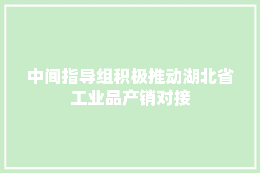 中间指导组积极推动湖北省工业品产销对接